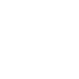 House Icon